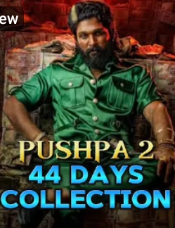 Pushpa 2 44 Days Box office profit collection 2025 1 Pushpa 2 44 Days Box office profit collection 2025